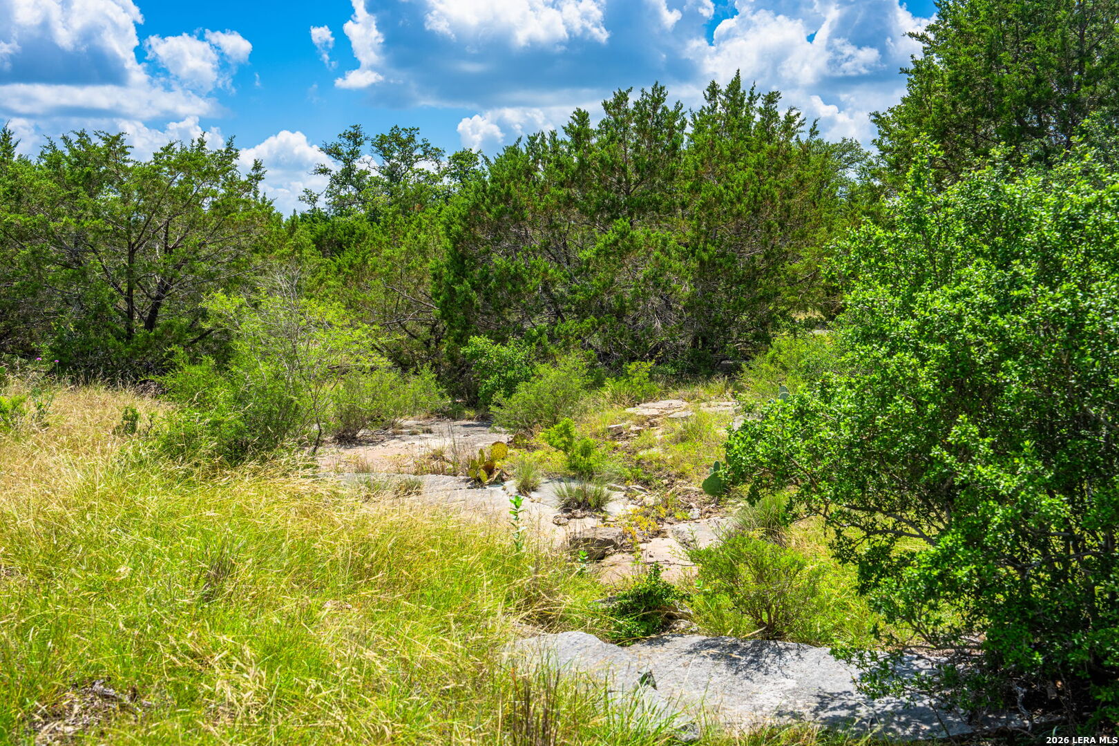 853 Elm Ridge Road Fredericksburg TX 78624
