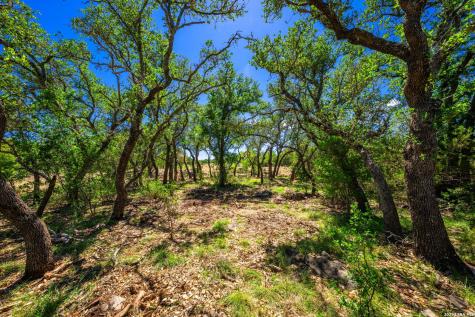 853 Elm Ridge Road Fredericksburg TX 78624