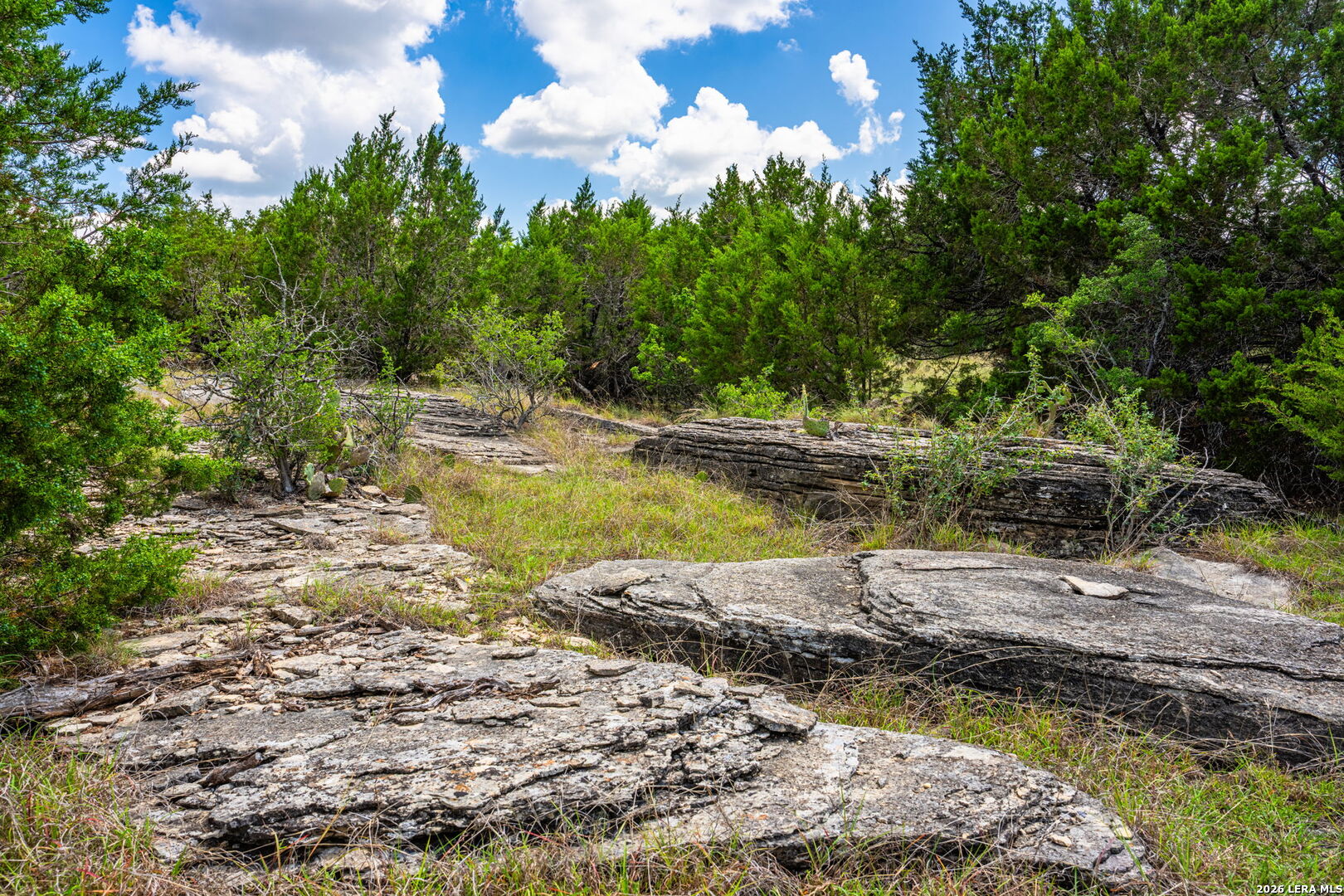853 Elm Ridge Road Fredericksburg TX 78624