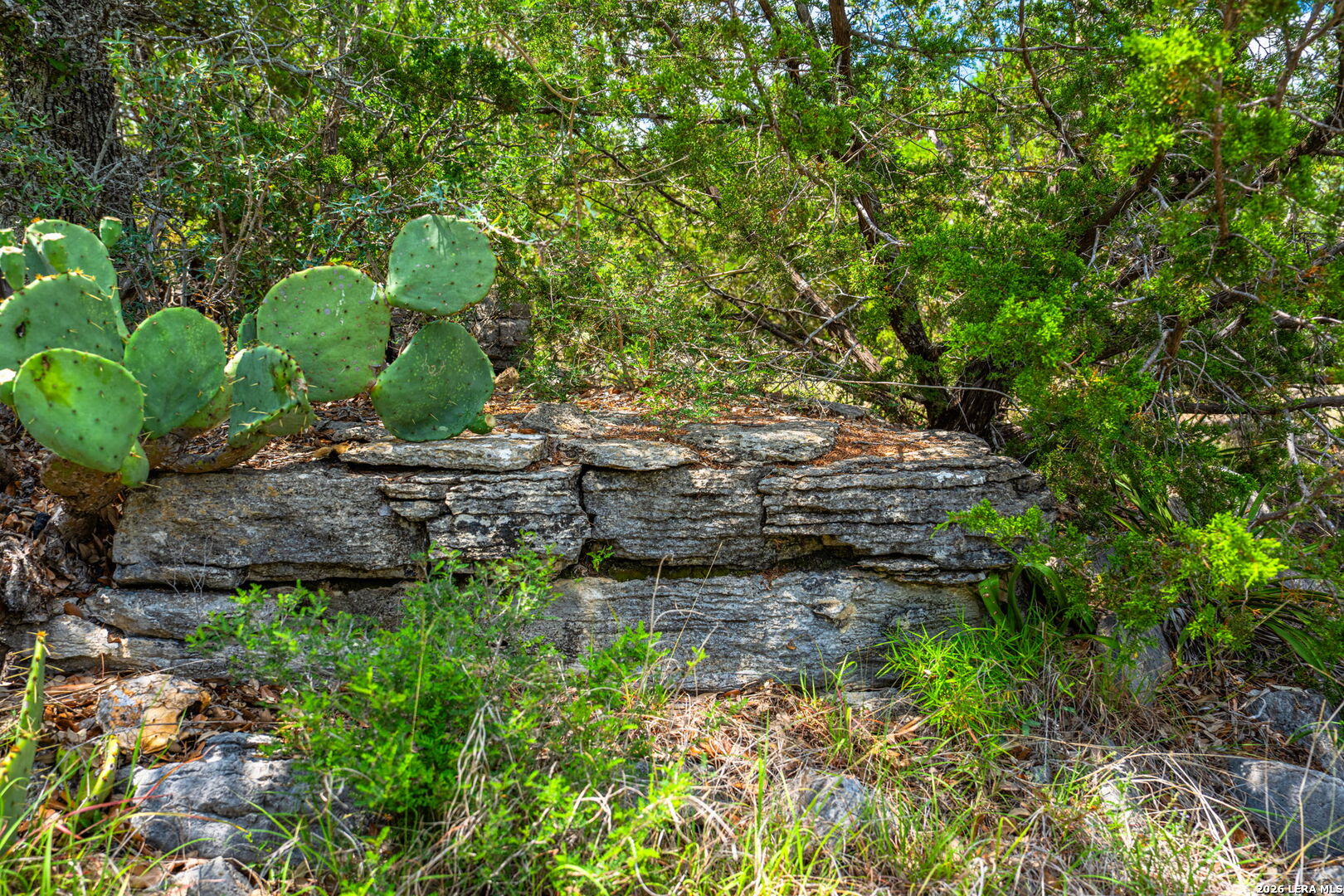 853 Elm Ridge Road Fredericksburg TX 78624