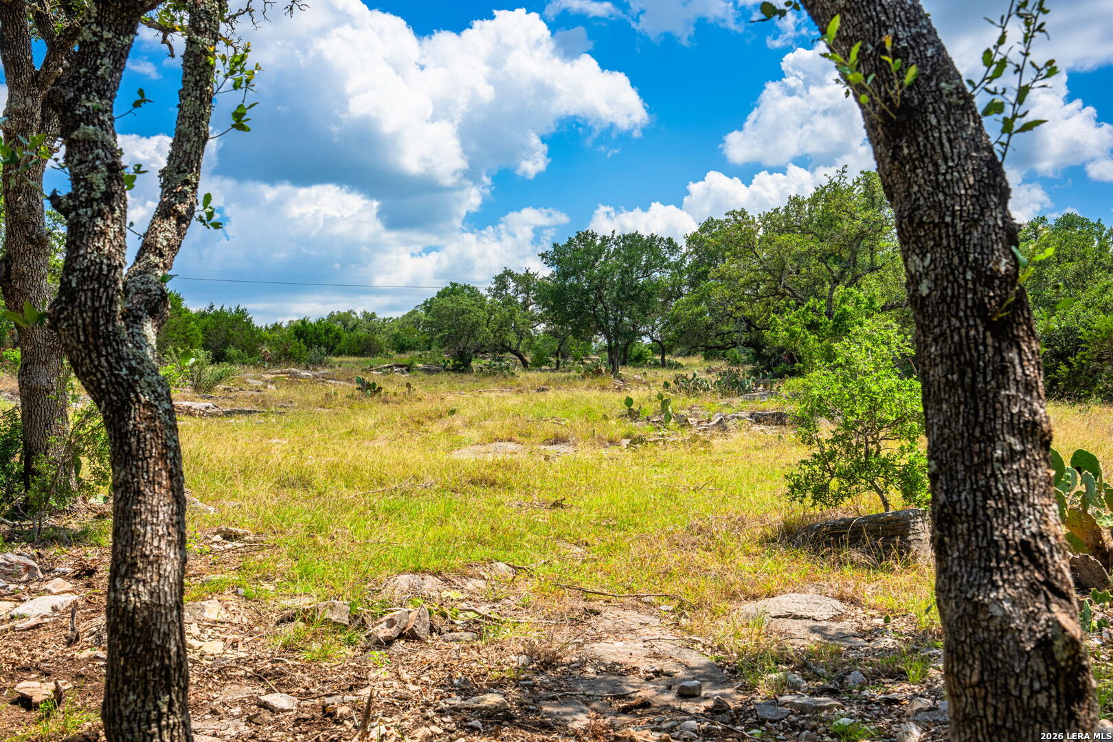 853 Elm Ridge Road Fredericksburg TX 78624