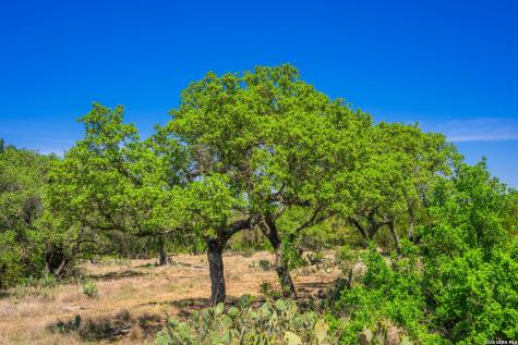 853 Elm Ridge Road Fredericksburg TX 78624