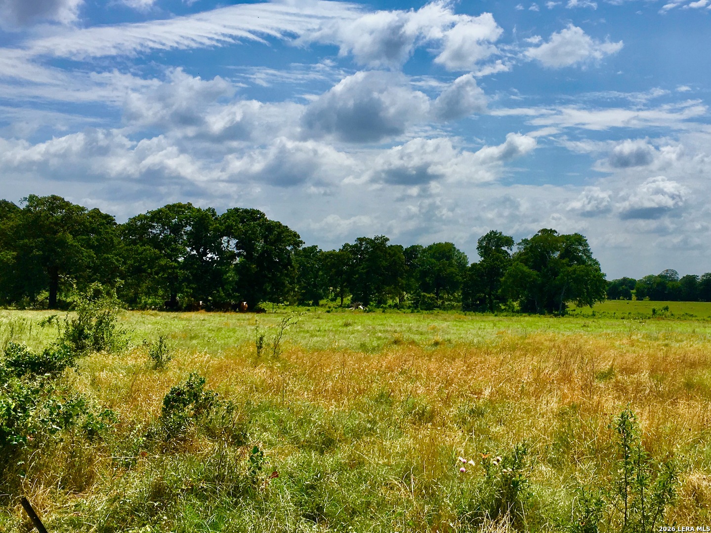 1152 A County Road 227 Falls City TX 78113