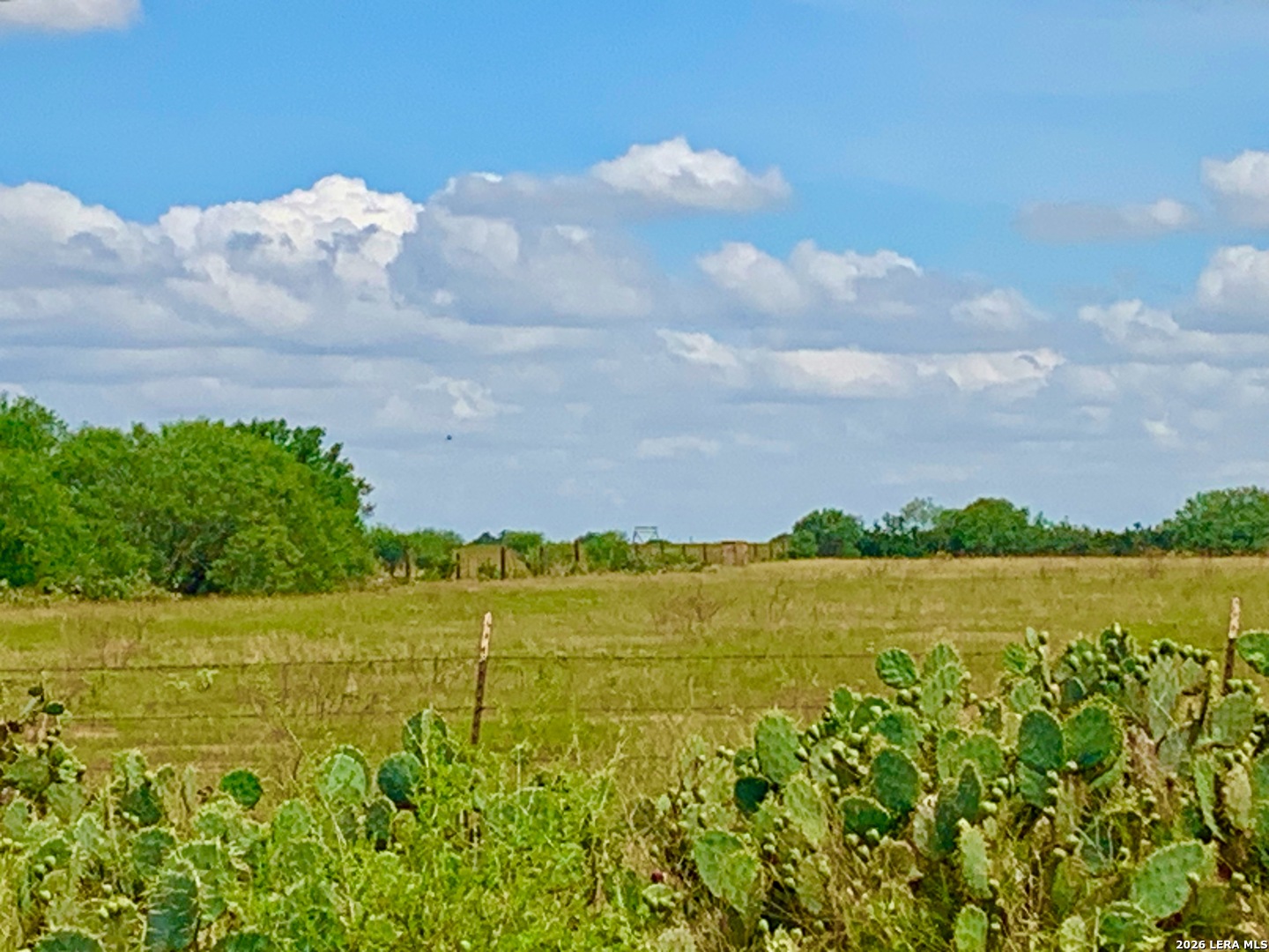 1152 A County Road 227 Falls City TX 78113