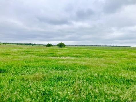 1152 A County Road 227 Falls City TX 78113