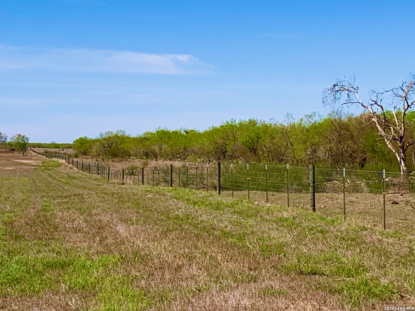 1152 A County Road 227 Falls City TX 78113