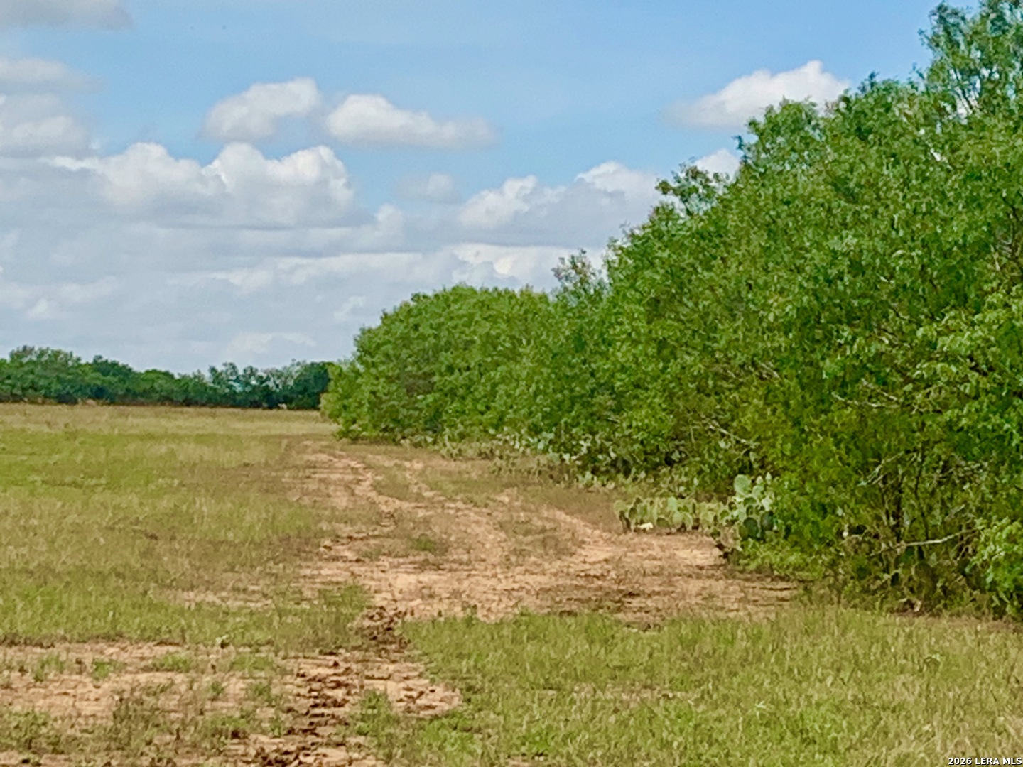1152 A County Road 227 Falls City TX 78113