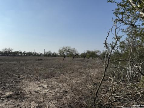 1331 S Highway 281 George West TX 78022