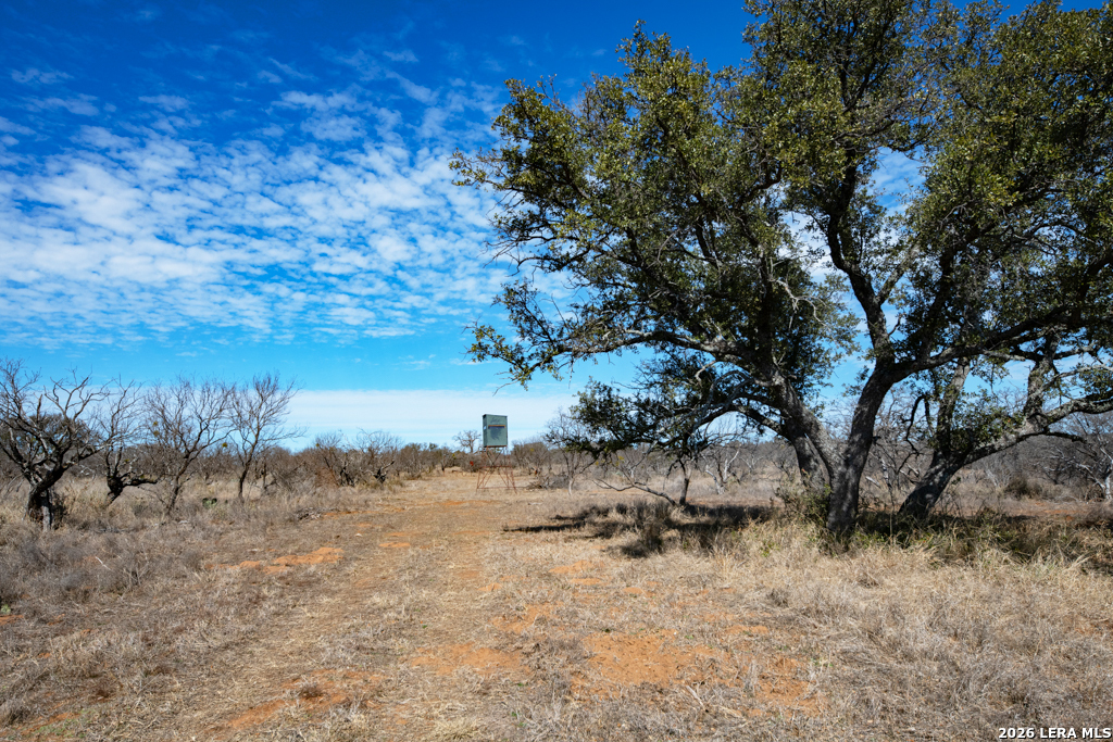 Tbd Hickory Grove Road Mason TX 76856