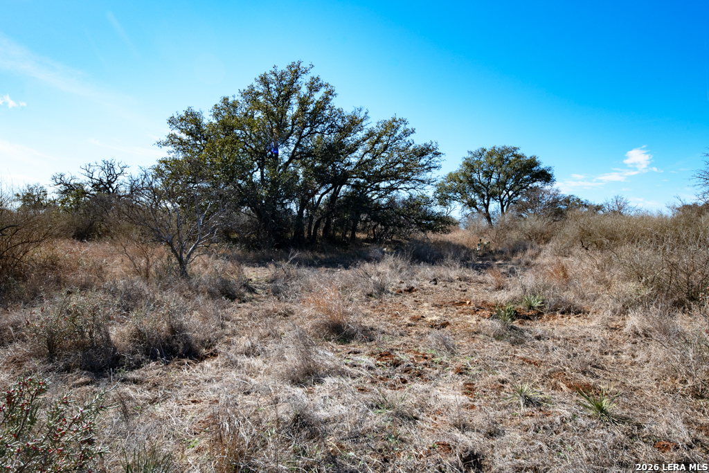 Tbd Hickory Grove Road Mason TX 76856