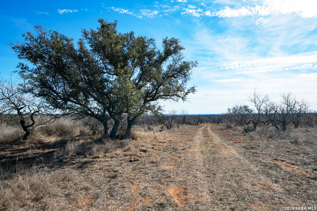 Tbd Hickory Grove Road Mason TX 76856
