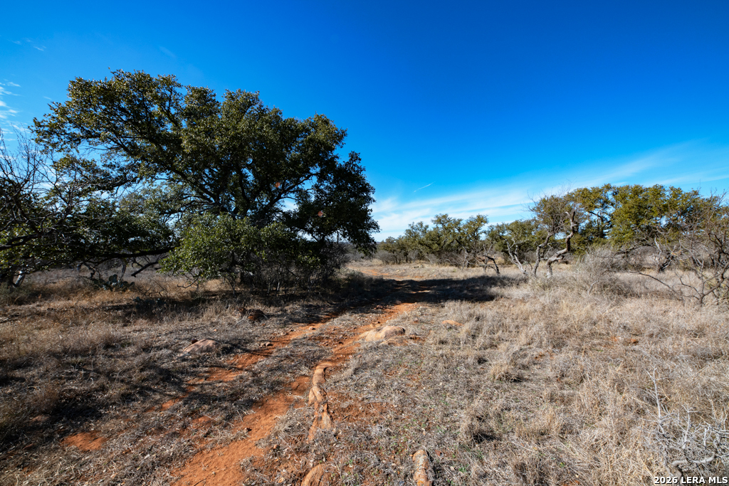 Tbd Hickory Grove Road Mason TX 76856