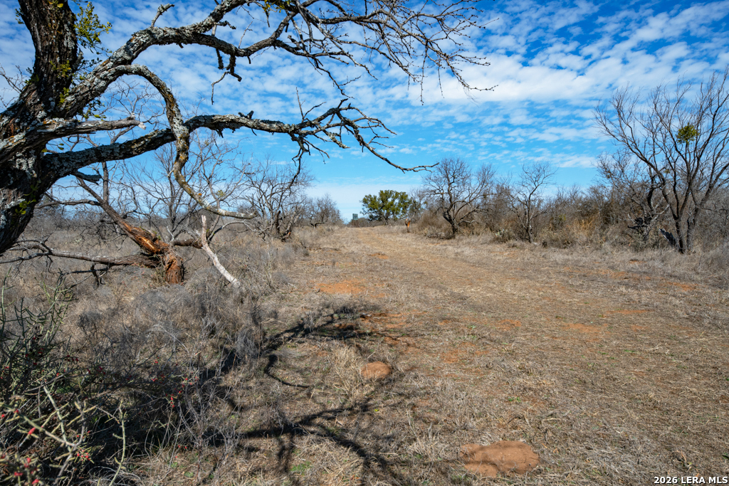 Tbd Hickory Grove Road Mason TX 76856