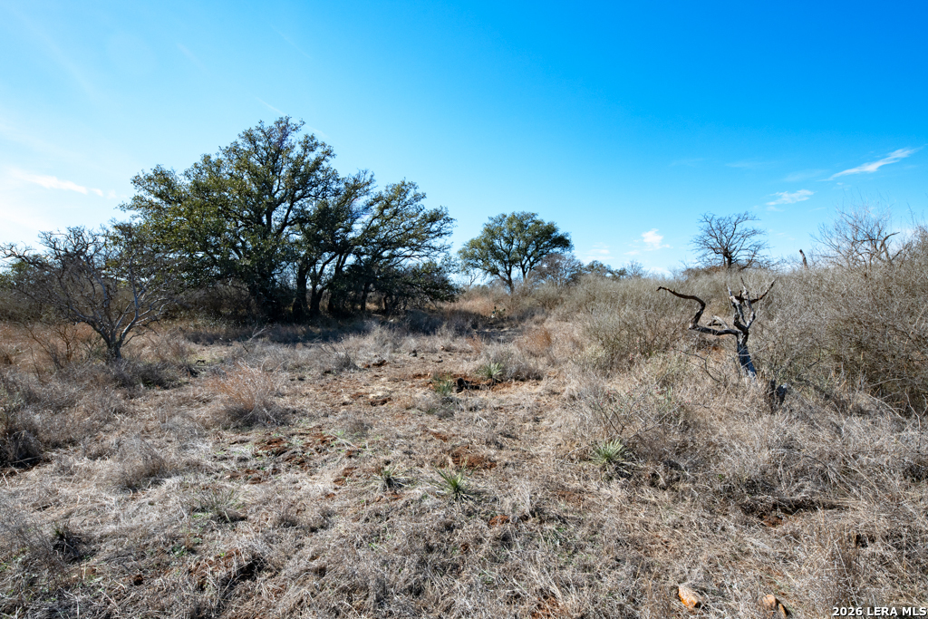 Tbd Hickory Grove Road Mason TX 76856