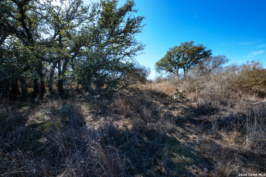 Tbd Hickory Grove Road Mason TX 76856