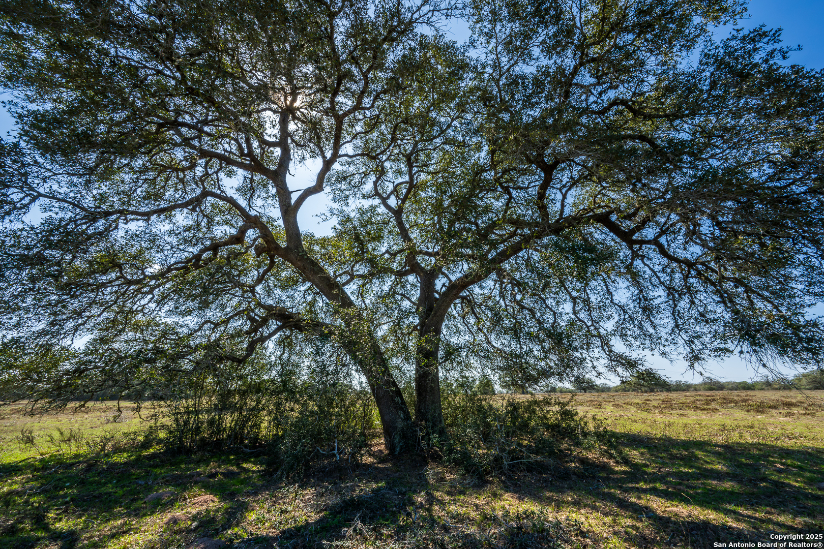 16297 Tx-111 Yoakum TX 77995