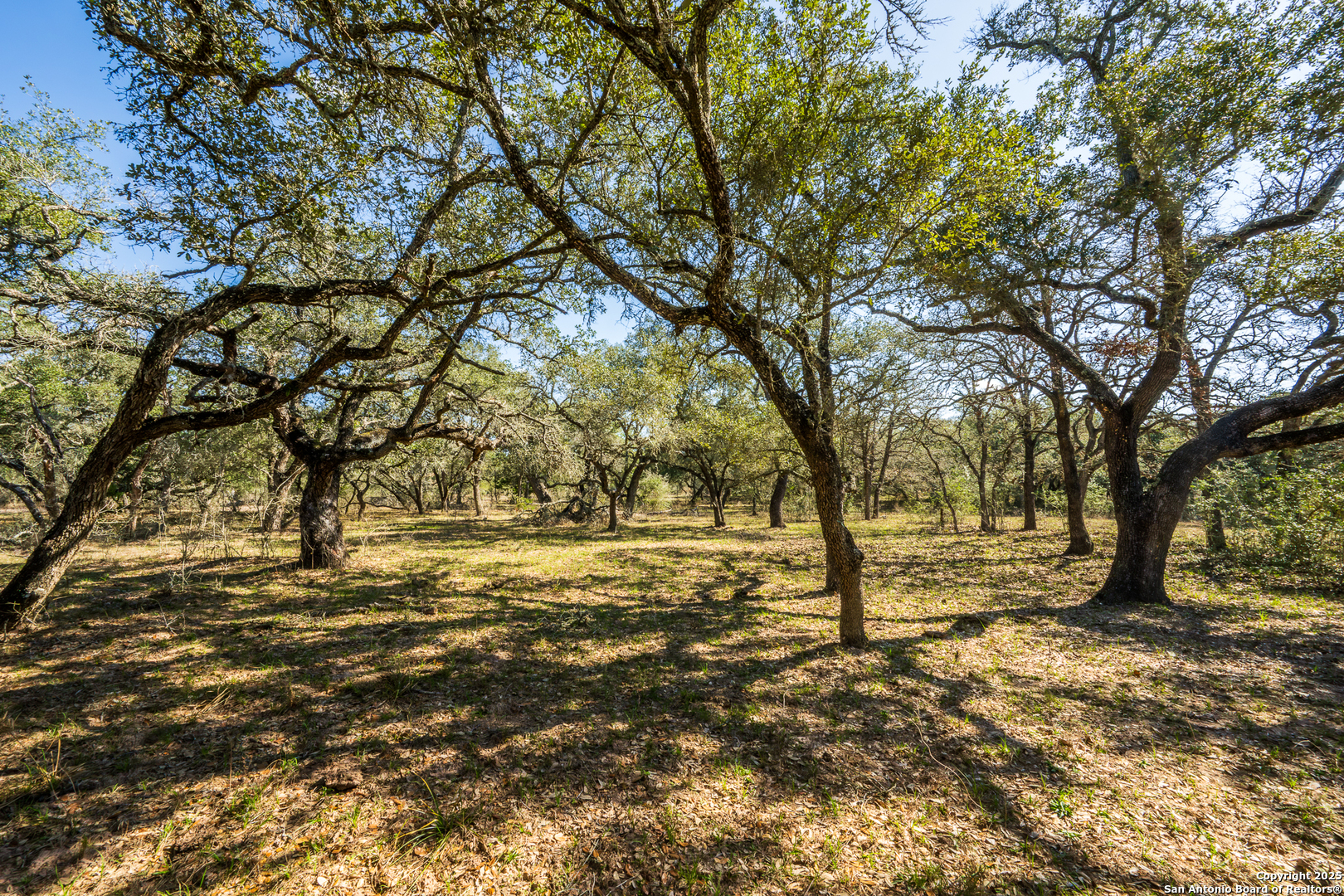 16297 Tx-111 Yoakum TX 77995