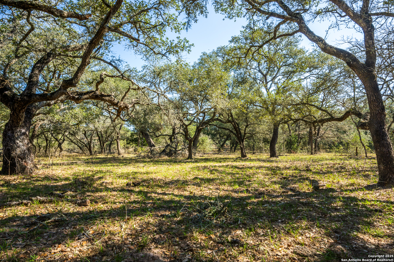 16297 Tx-111 Yoakum TX 77995