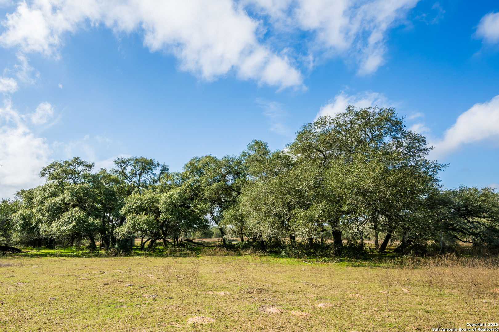 16297 Tx-111 Yoakum TX 77995