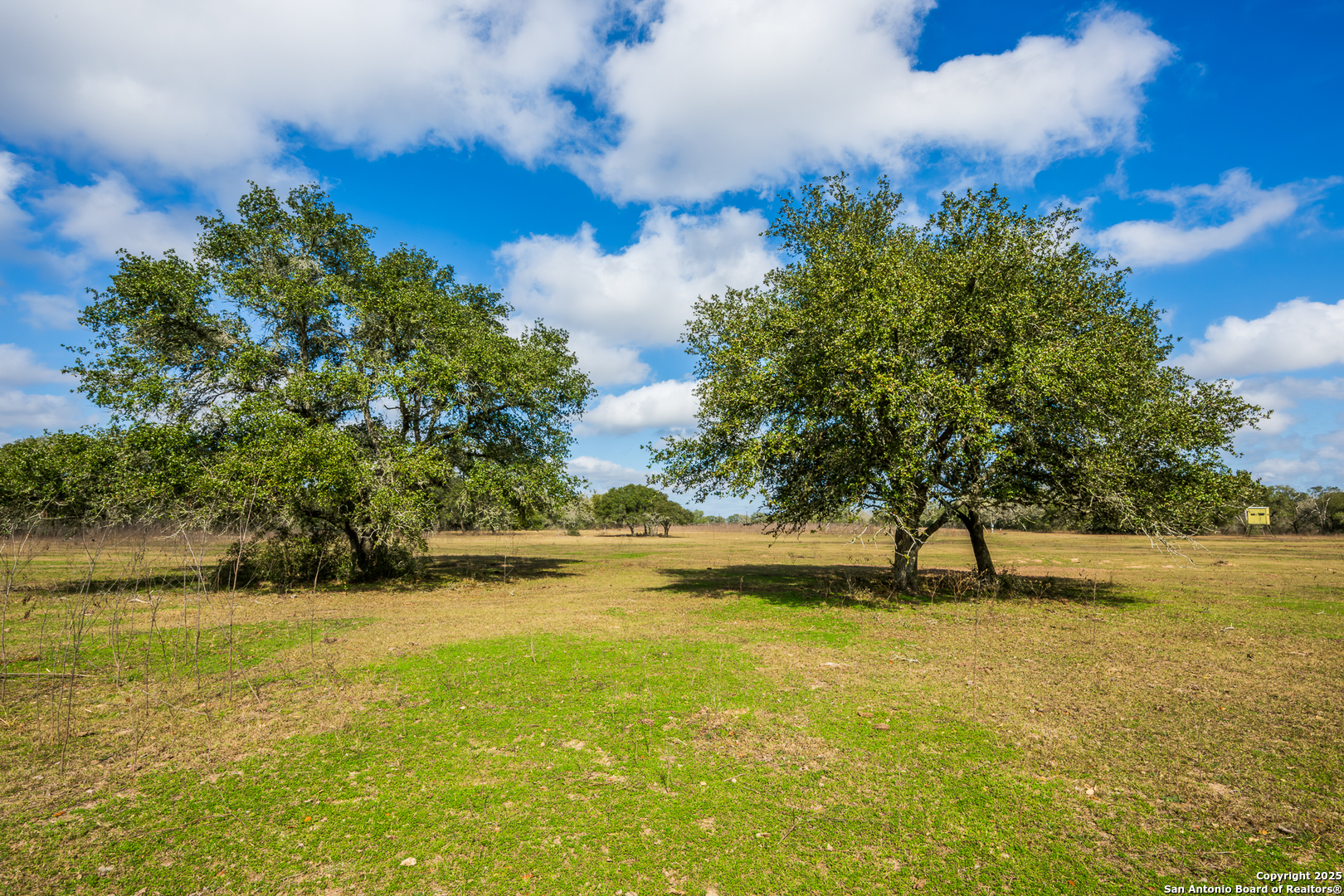 16297 Tx-111 Yoakum TX 77995