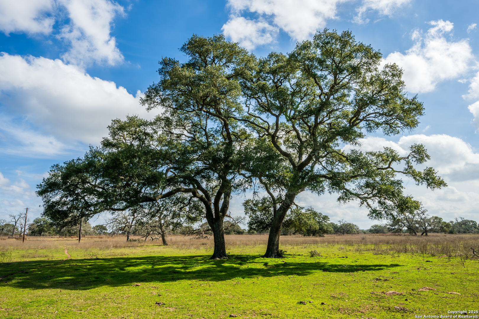 16297 Tx-111 Yoakum TX 77995