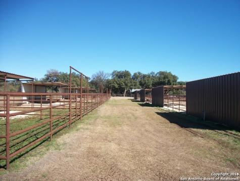 11217 Fm 470 Tarpley TX 78883