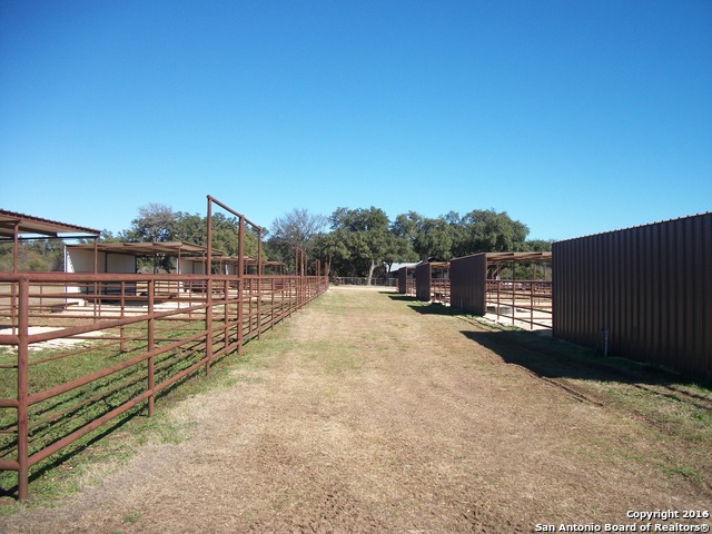 11217 Fm 470 Tarpley TX 78883