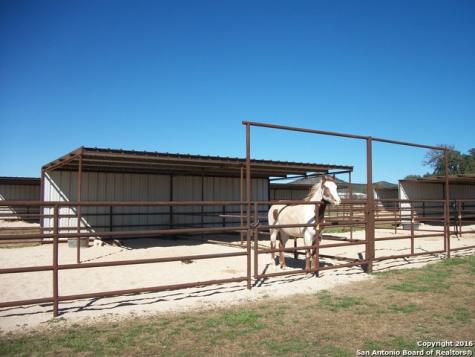 11217 Fm 470 Tarpley TX 78883