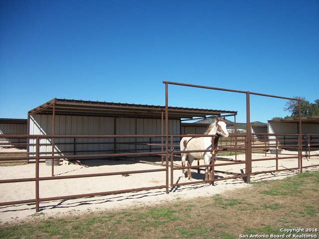 11217 Fm 470 Tarpley TX 78883