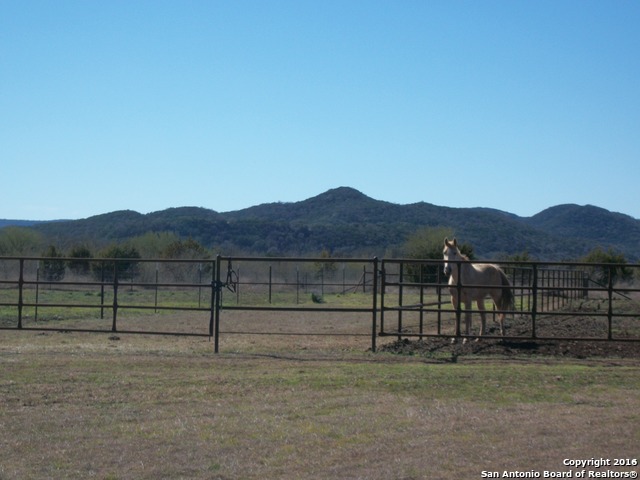 11217 Fm 470 Tarpley TX 78883