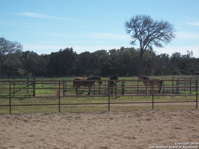 11217 Fm 470 Tarpley TX 78883