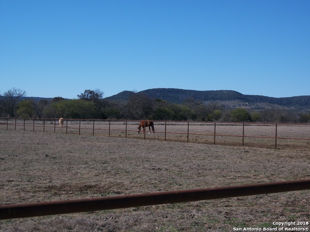 11217 Fm 470 Tarpley TX 78883