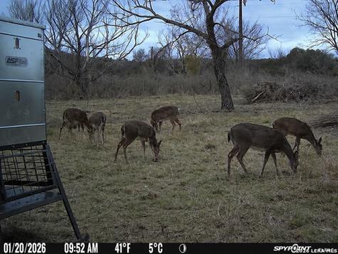 3259 Schumann Road Stonewall TX 78671
