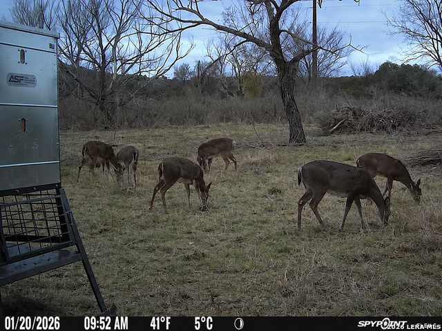 3259 Schumann Road Stonewall TX 78671