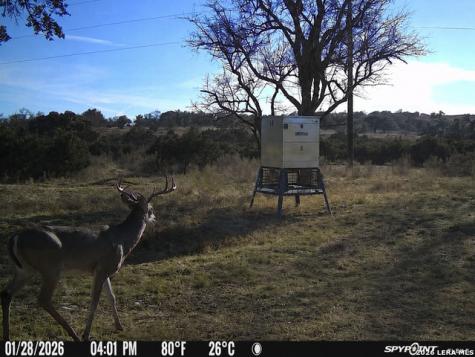 3259 Schumann Road Stonewall TX 78671