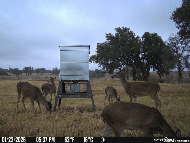 3259 Schumann Road Stonewall TX 78671