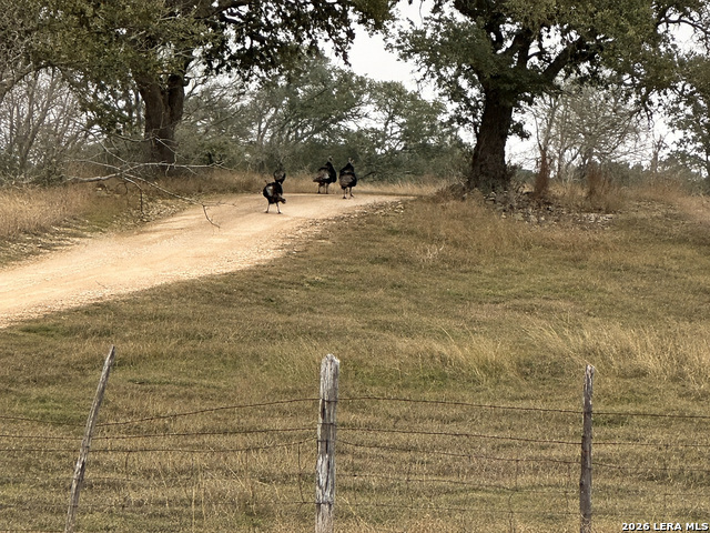 3259 Schumann Road Stonewall TX 78671