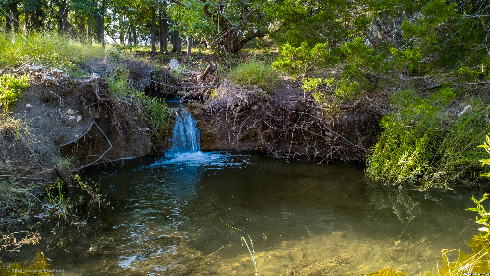 3259 Schumann Road Stonewall TX 78671