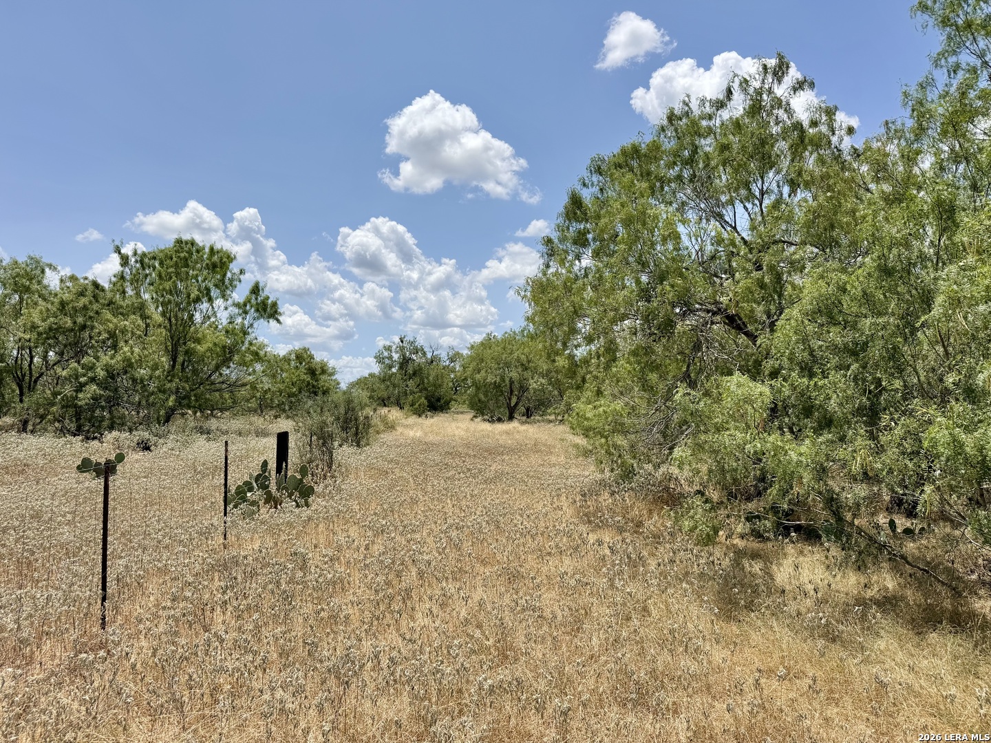 24.52 Acres On Campbell Boulevard Campbellton TX 78008