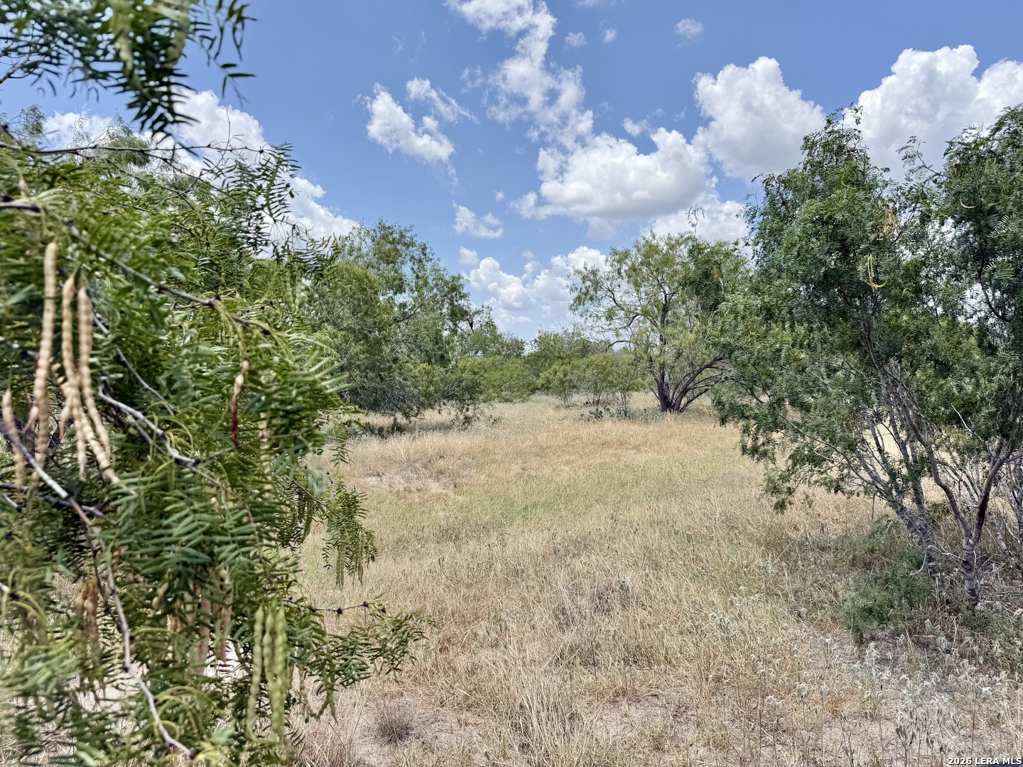 24.52 Acres On Campbell Boulevard Campbellton TX 78008