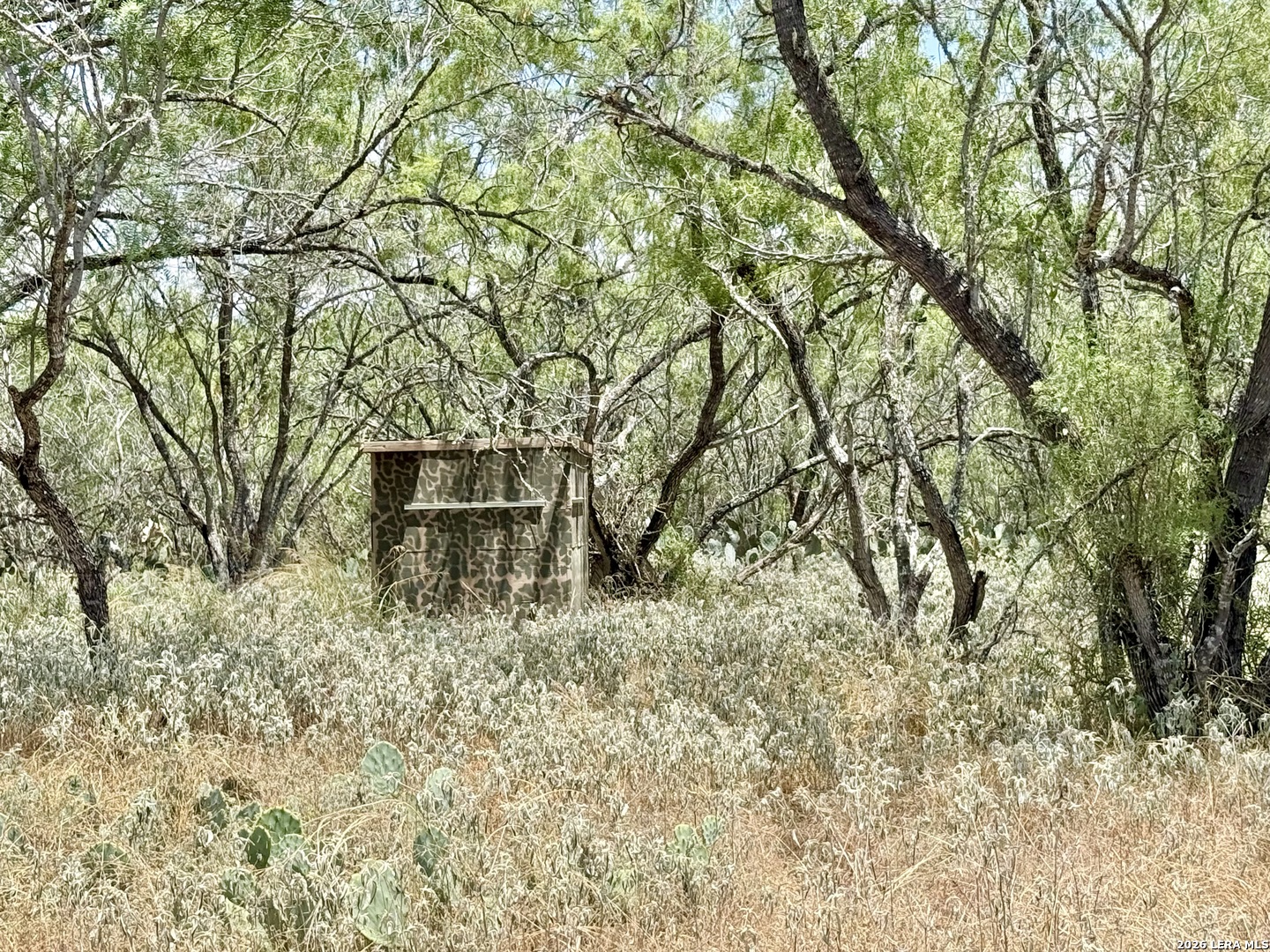 24.52 Acres On Campbell Boulevard Campbellton TX 78008