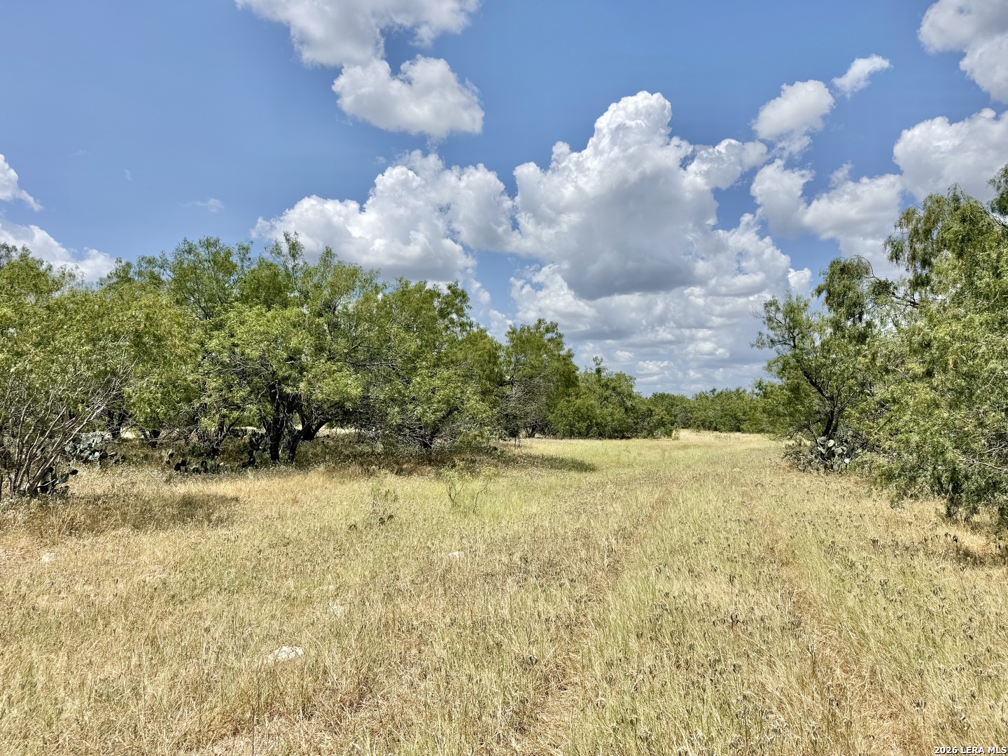 24.52 Acres On Campbell Boulevard Campbellton TX 78008