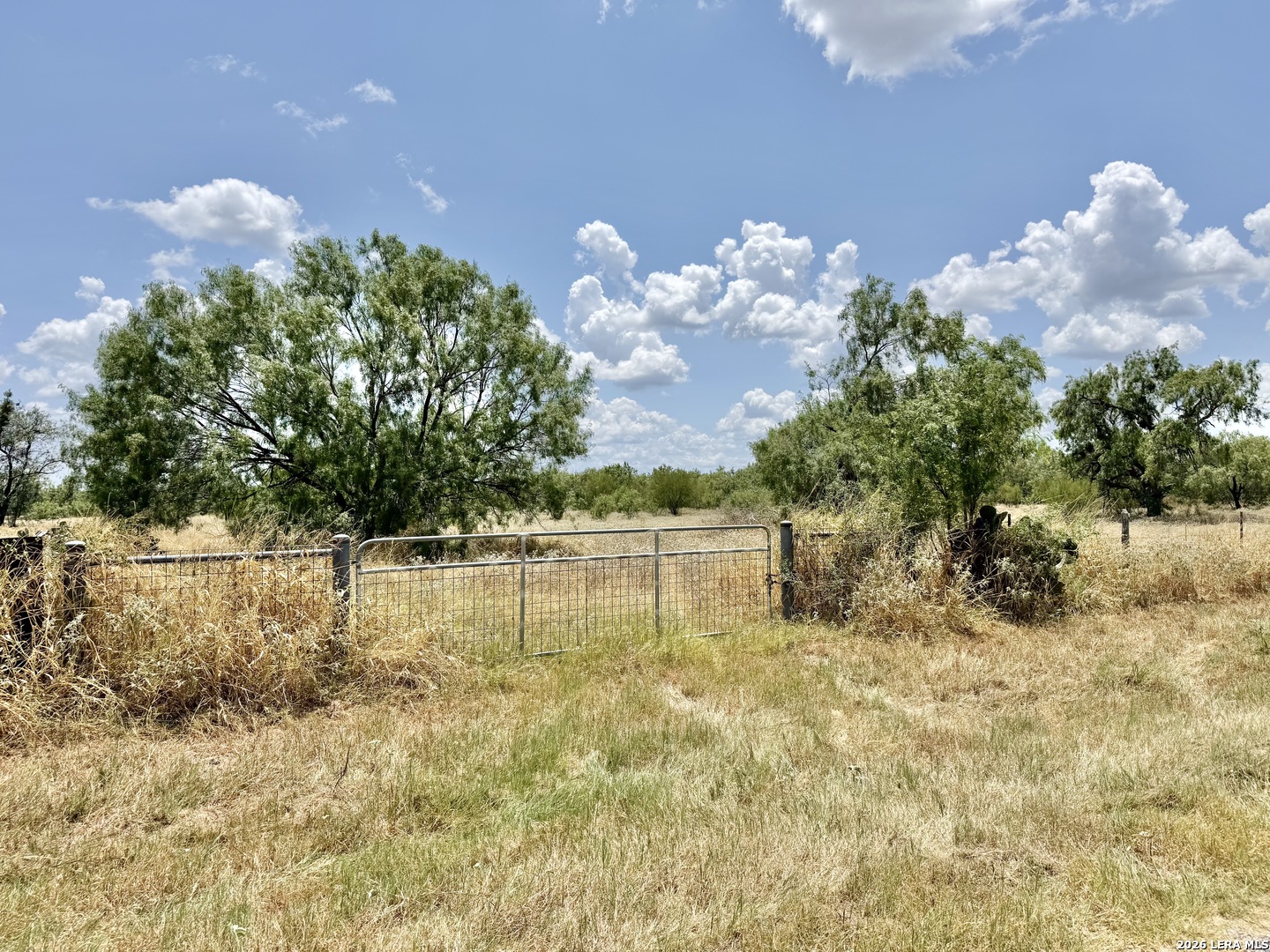 24.52 Acres On Campbell Boulevard Campbellton TX 78008