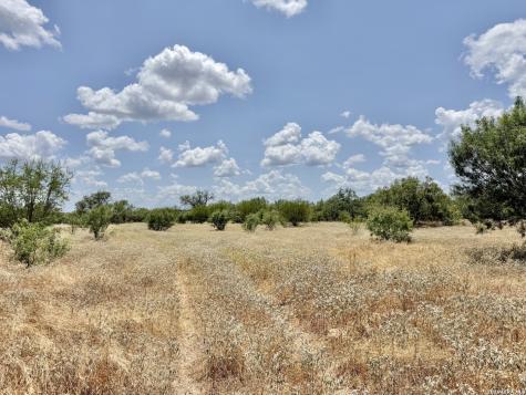 24.52 Acres On Campbell Boulevard Campbellton TX 78008