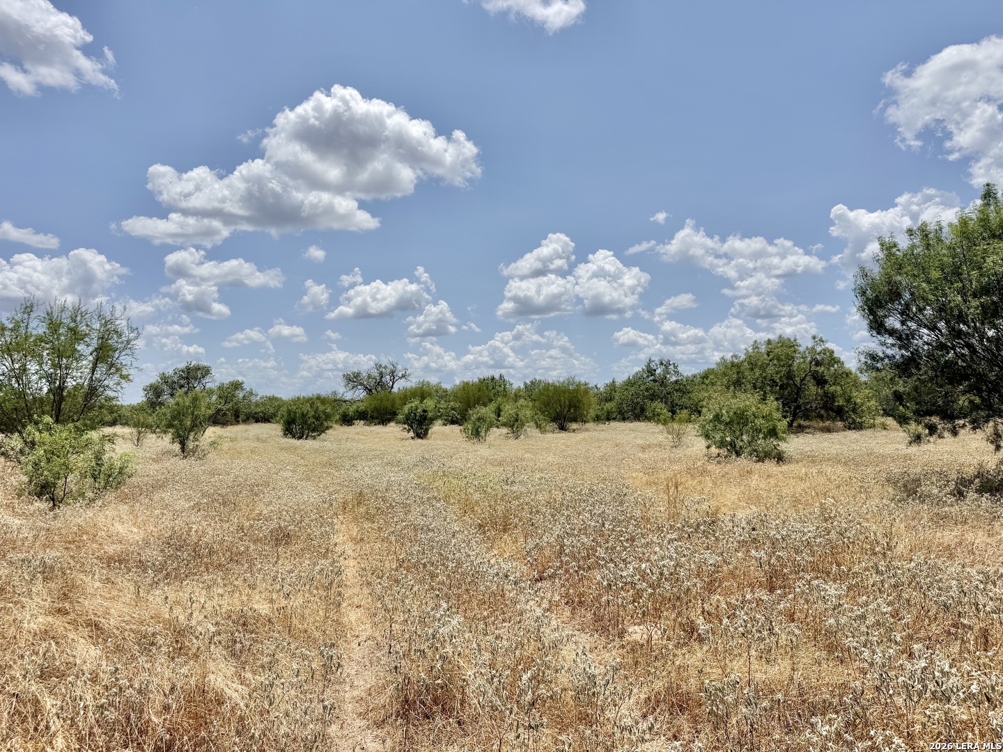 24.52 Acres On Campbell Boulevard Campbellton TX 78008