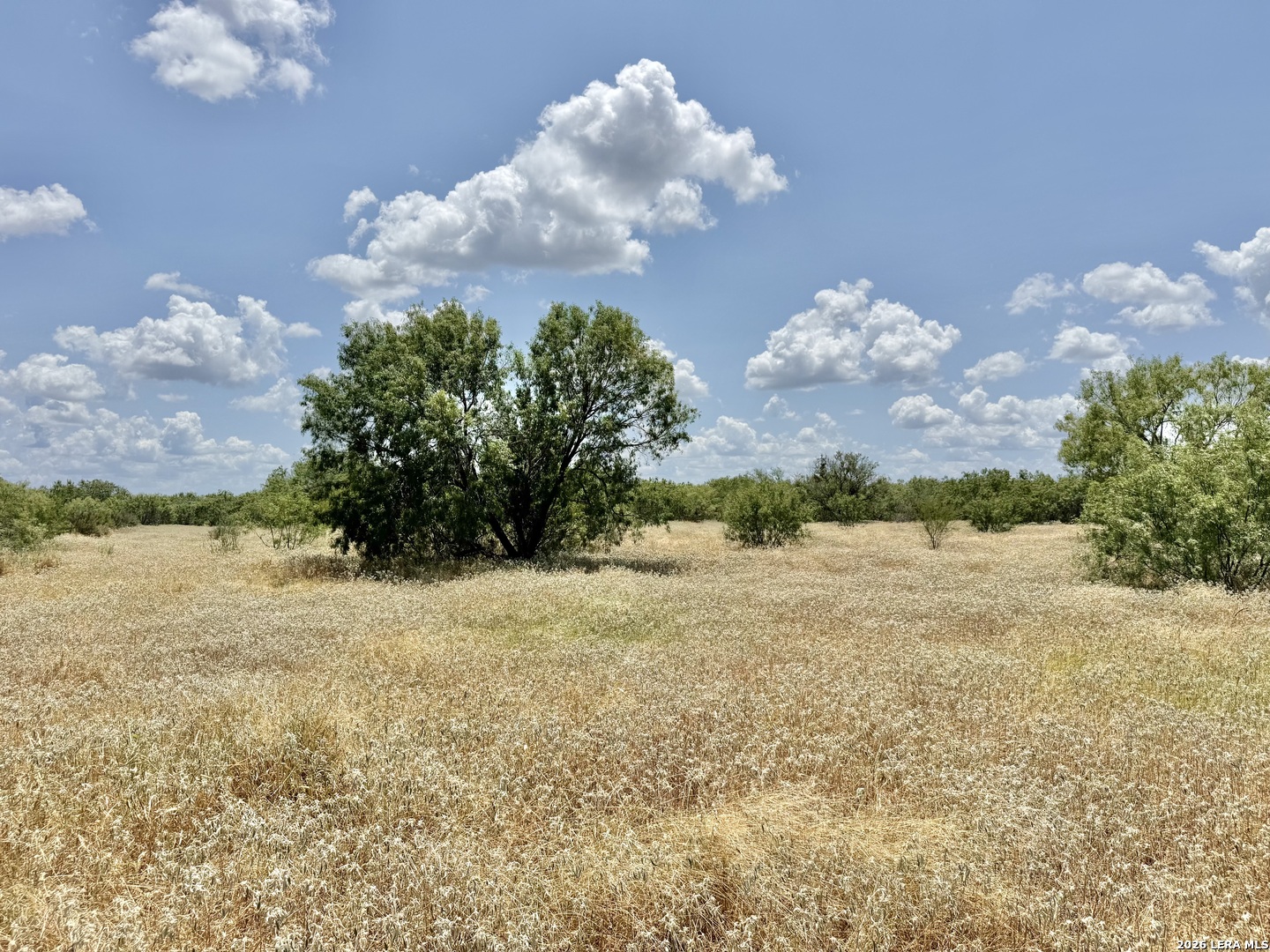 24.52 Acres On Campbell Boulevard Campbellton TX 78008