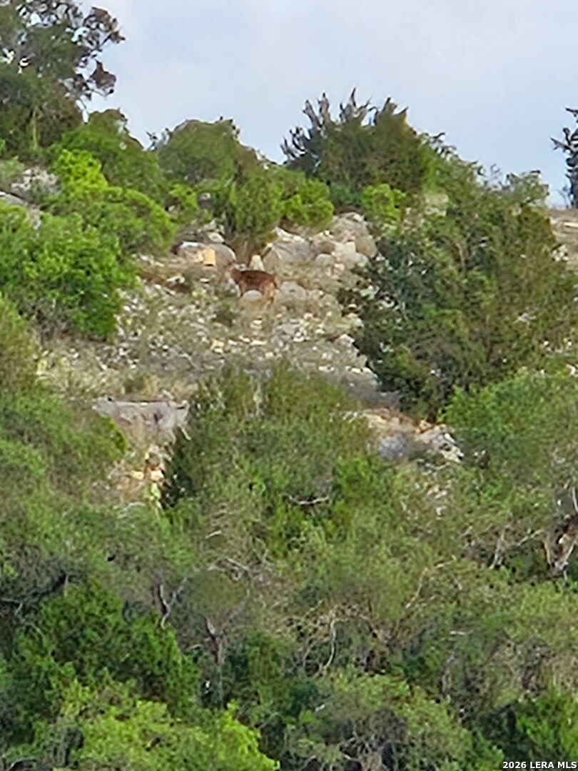 Tbd Sd 45478 Rocksprings TX 78880