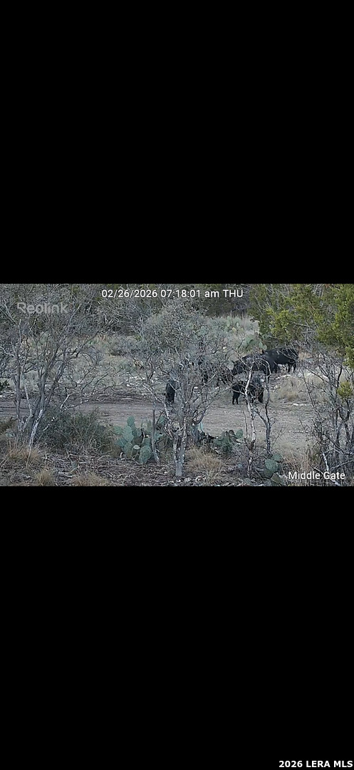 Tbd Sd 45478 Rocksprings TX 78880