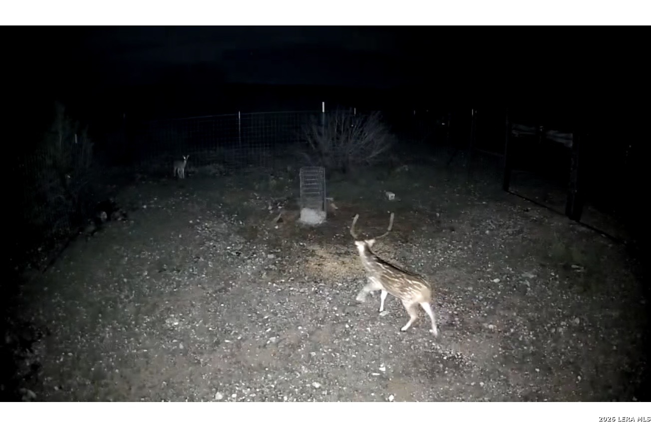 Tbd Sd 45478 Rocksprings TX 78880