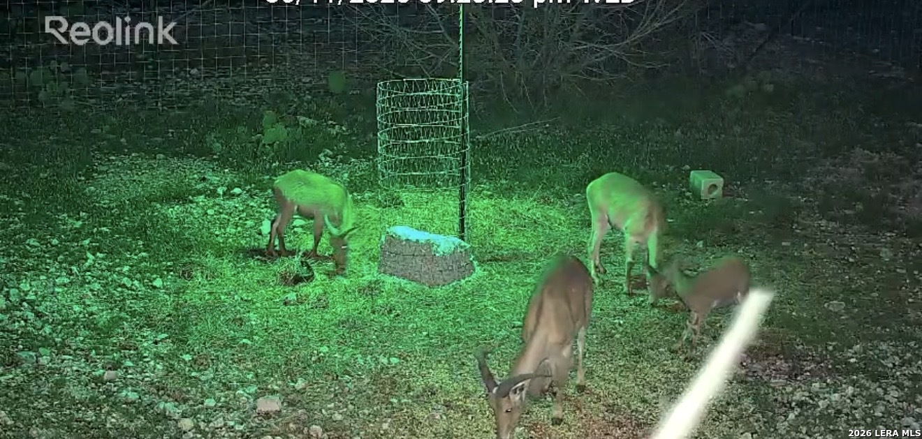 Tbd Sd 45478 Rocksprings TX 78880